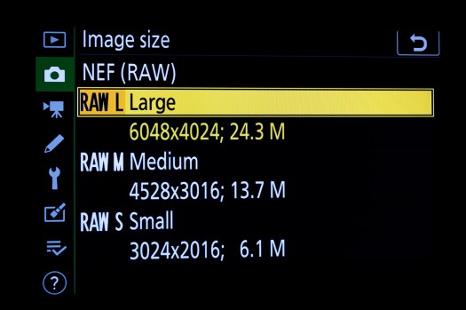 Z6 Menu - Raw Formats