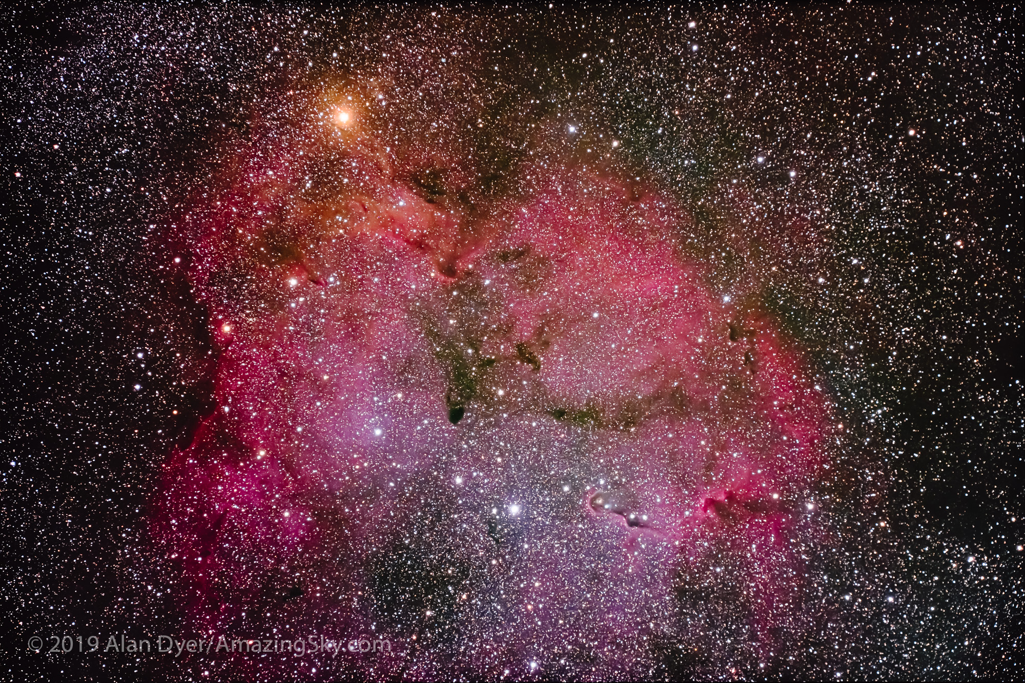 IC 1396 in Cepheus (Traveler and EOS Ra)
