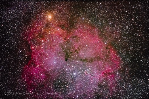IC 1396 in Cepheus (Traveler and EOS Ra)