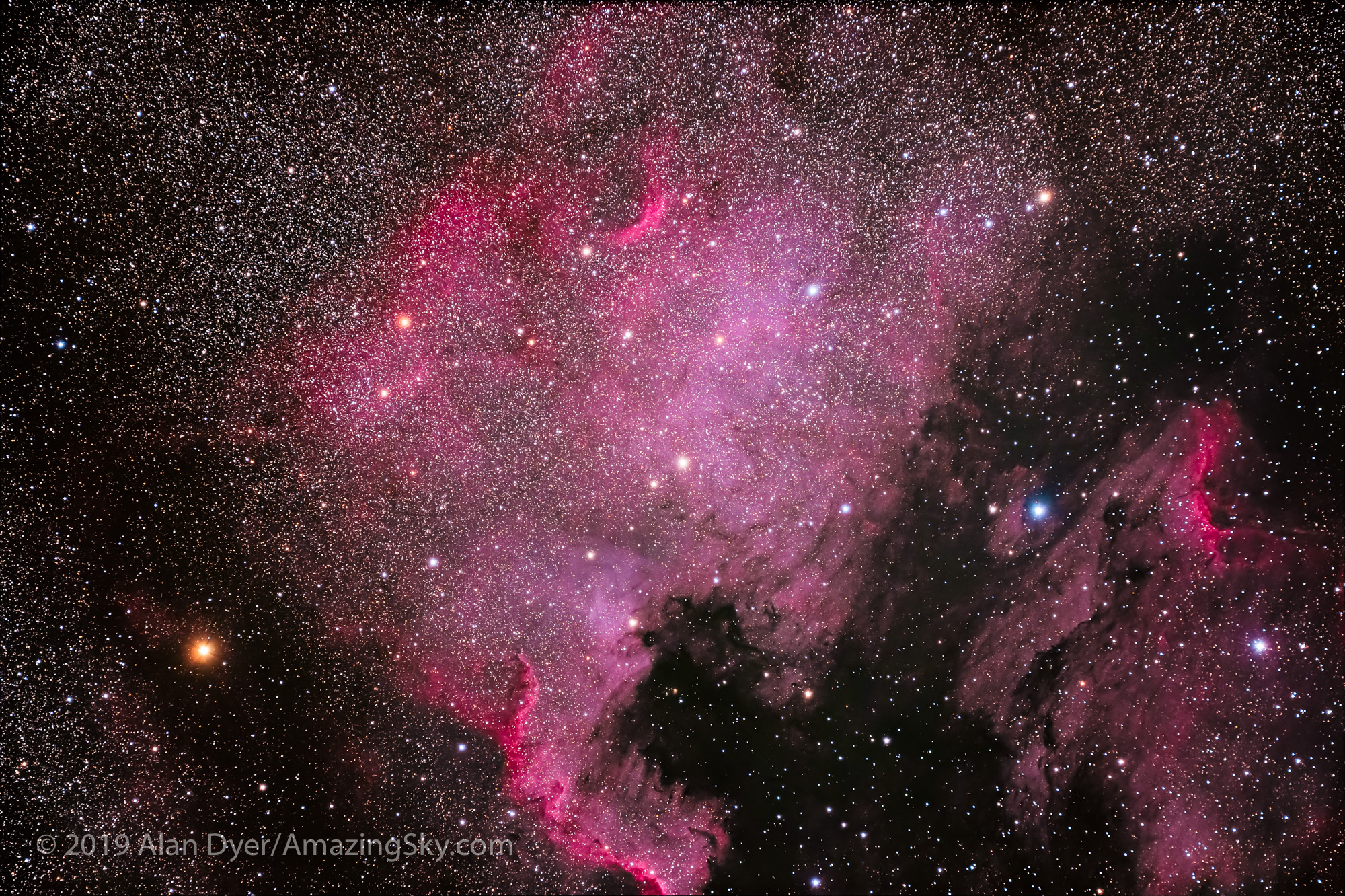 NGC 7000 North America Nebula (105mm Apo &amp; Canon EOS Ra)