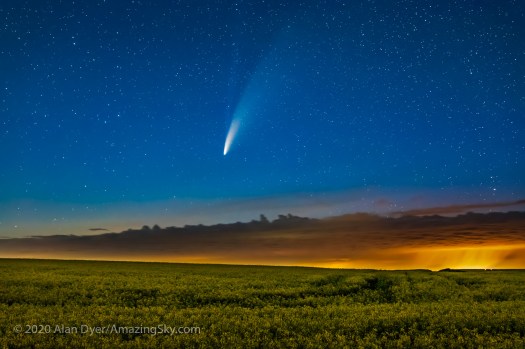 Comet over Canola Field Close-Up (July 15, 2020)
